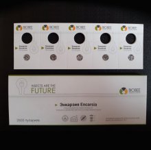 Коляска ABC Design TURBO 4S фото 5