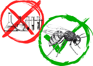 Энкарзия защитит урожай без химии!